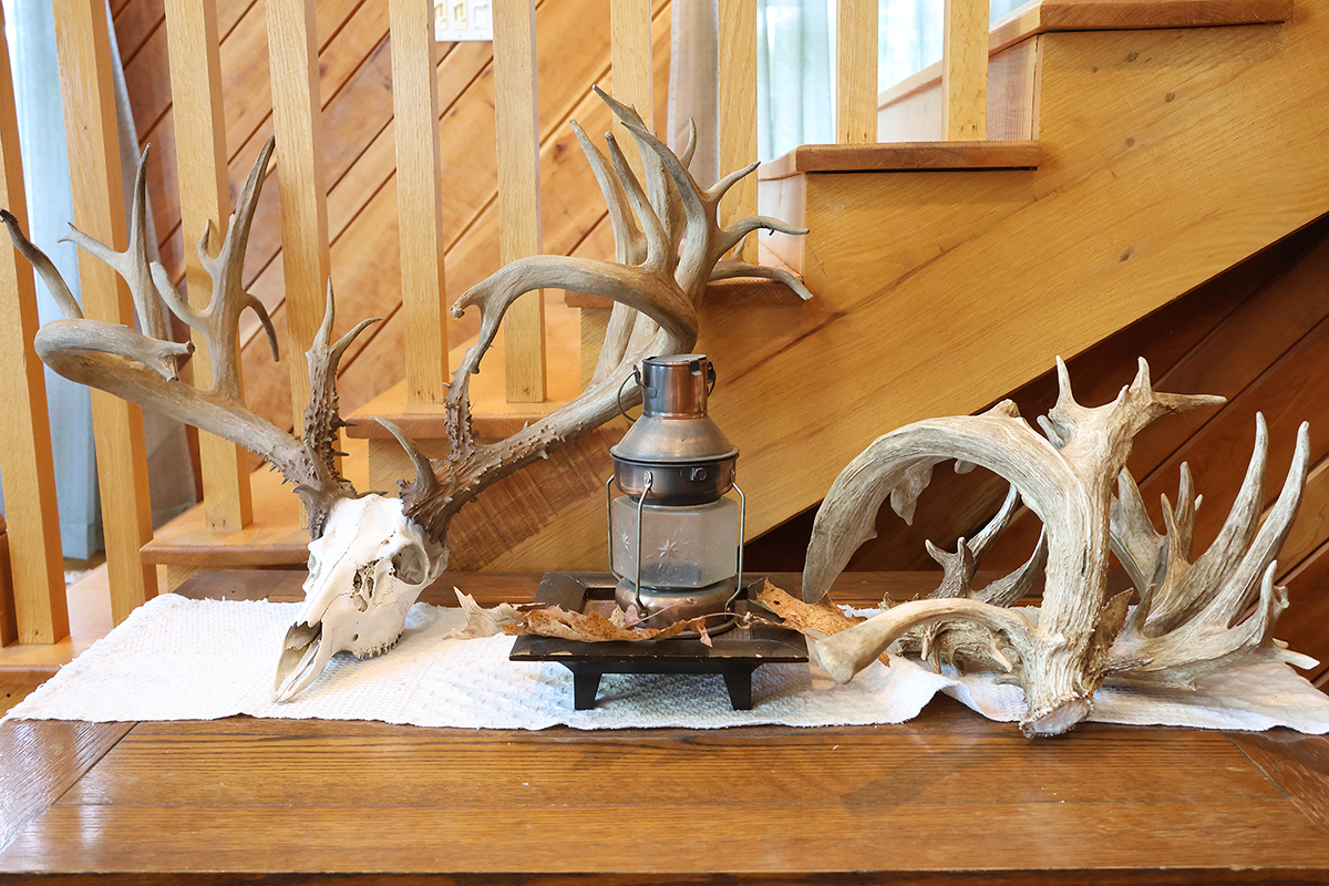 PVA-decorative-table Antler table decorations at Paradise Valley Adventures